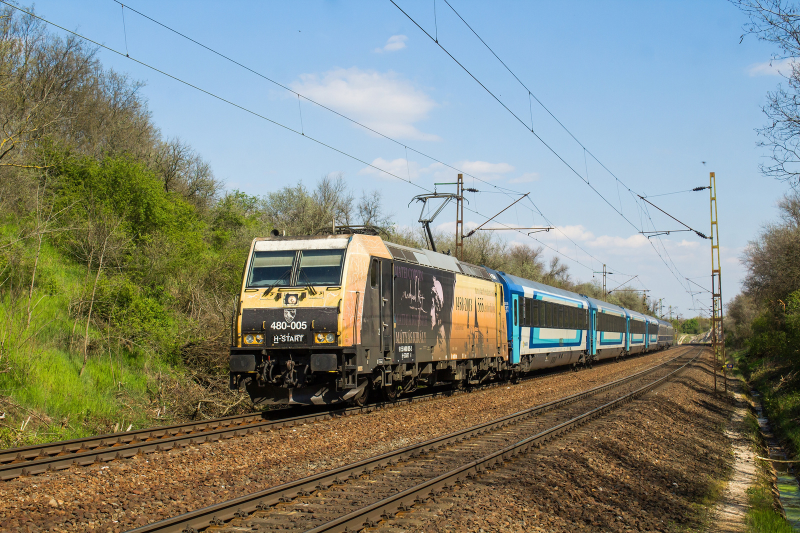 480 005 Szár (2023.04.23).02