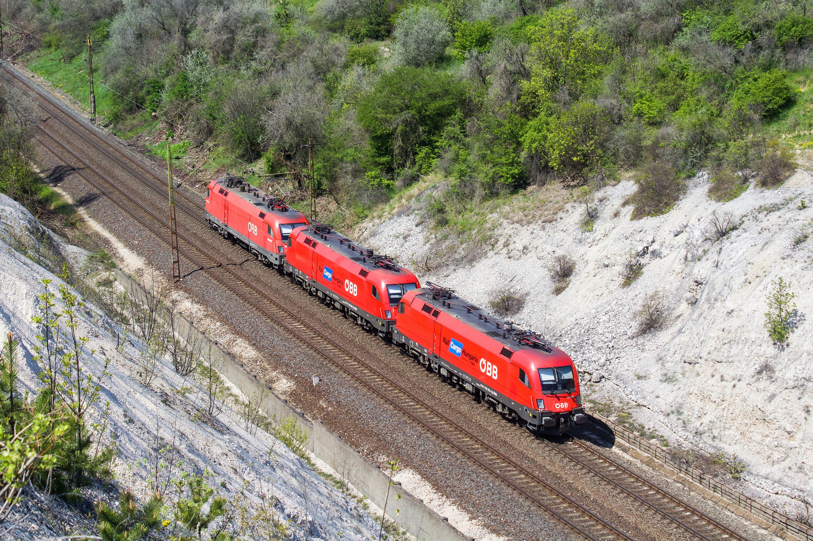 1116 013 Szár (2023.04.23).