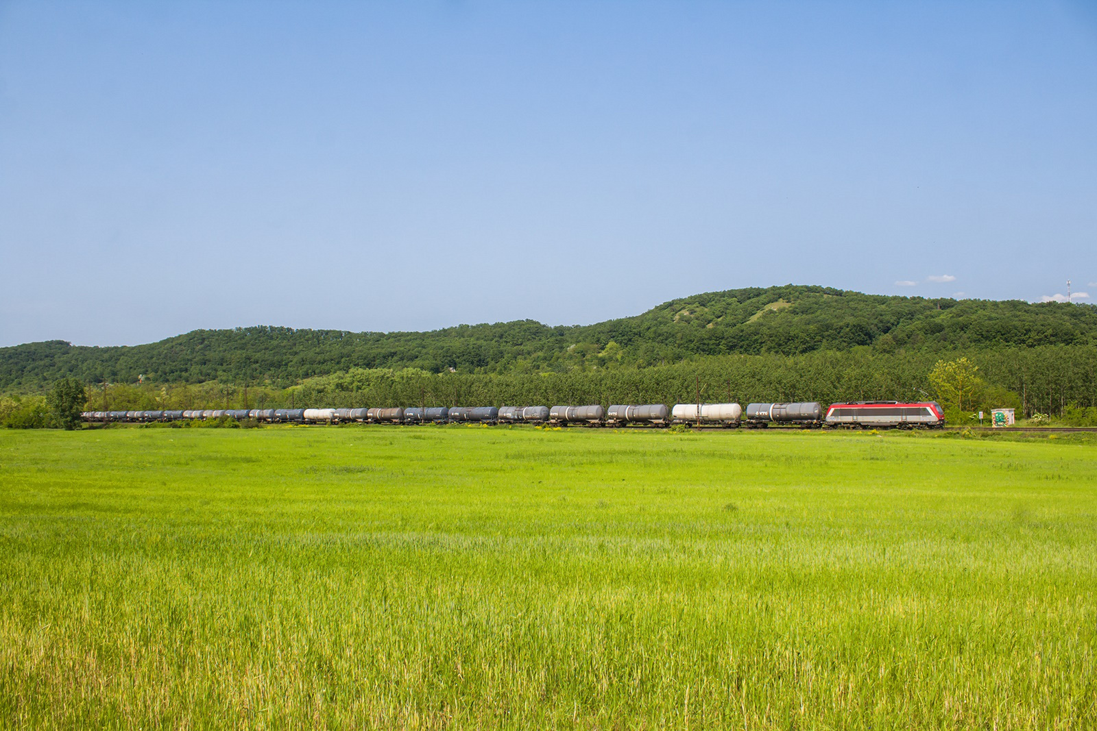 490 003 Szárliget (2023.05.28).