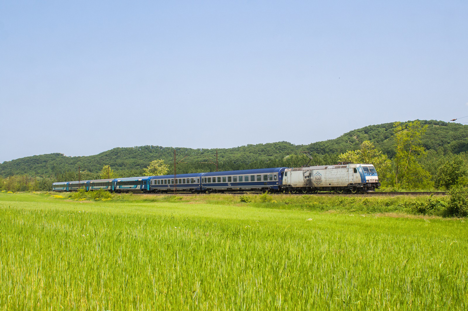 480 022 Szárliget (2023.05.28).01