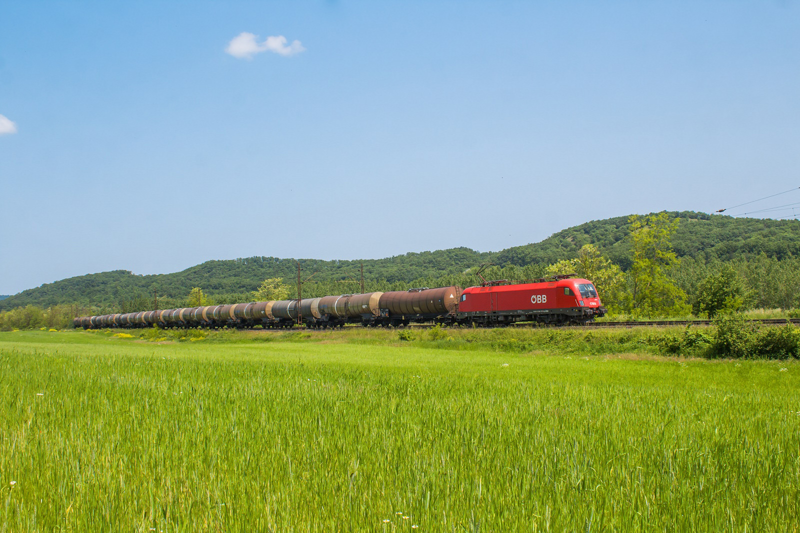 1116 117 Szárliget (2023.05.28).