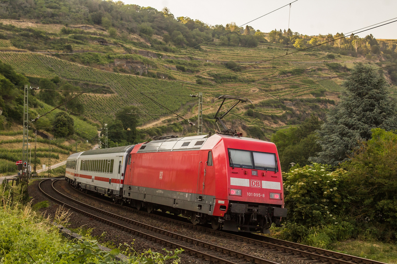 101 095 Oberwesel (2023.06.11).