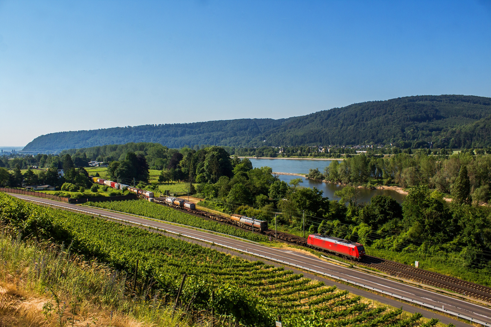 185 168 Leutesdorf (2023.06.11).