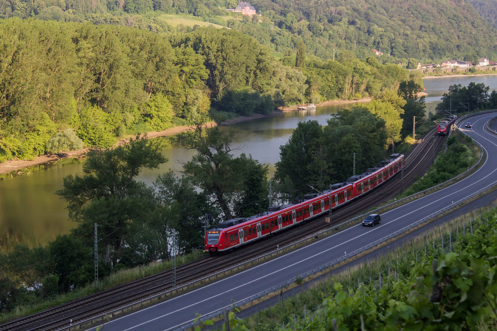 425 xxx Leutesdorf (2023.06.11).01