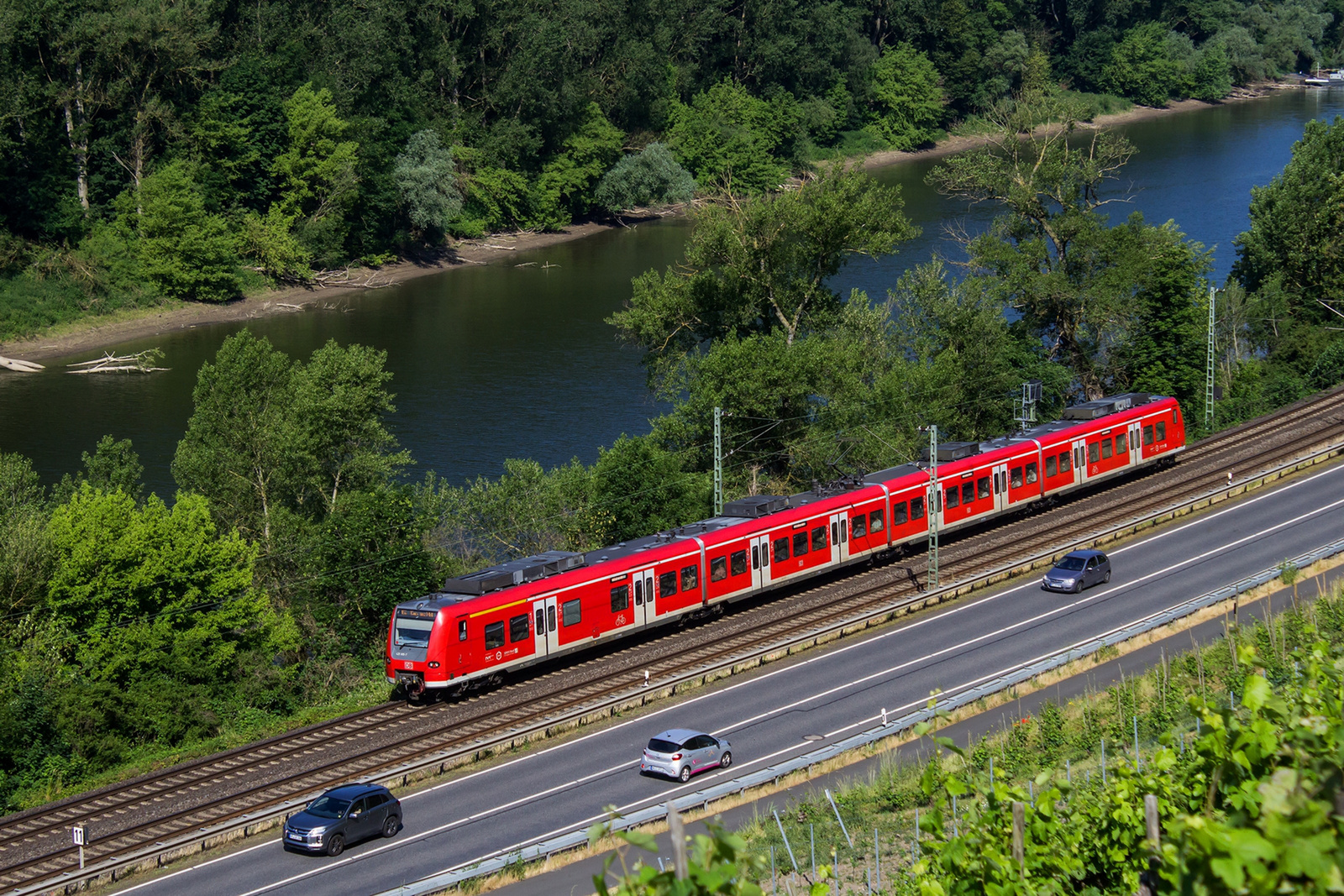 425 695 Leutesdorf (2023.06.11).