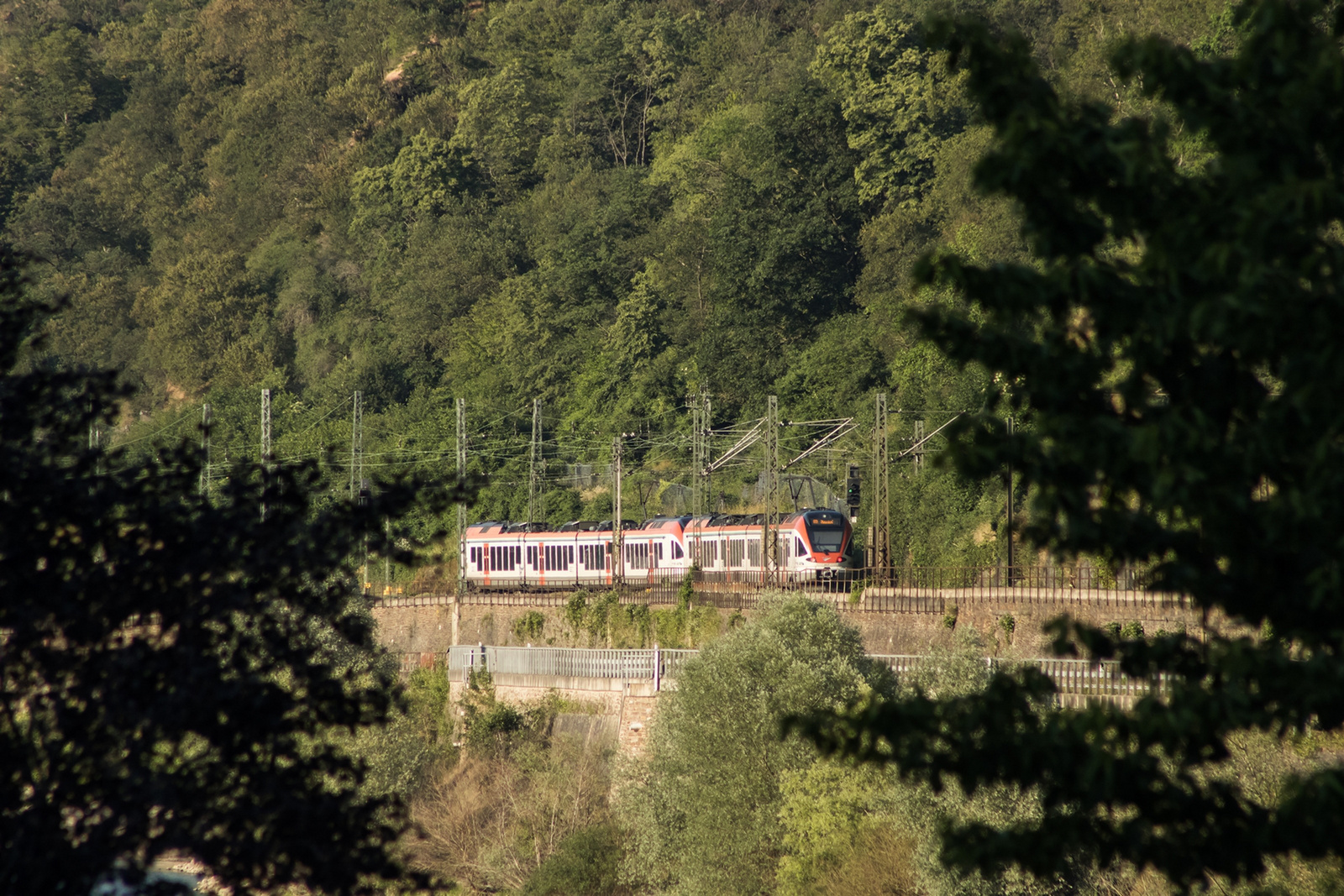 427 xxx Oberwesel (2023.06.11)05