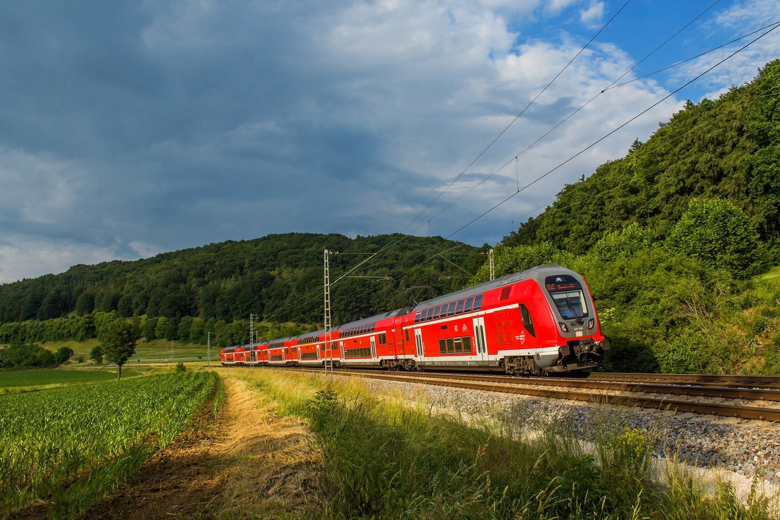 445 086 Breitenfurt (2023.06.16).