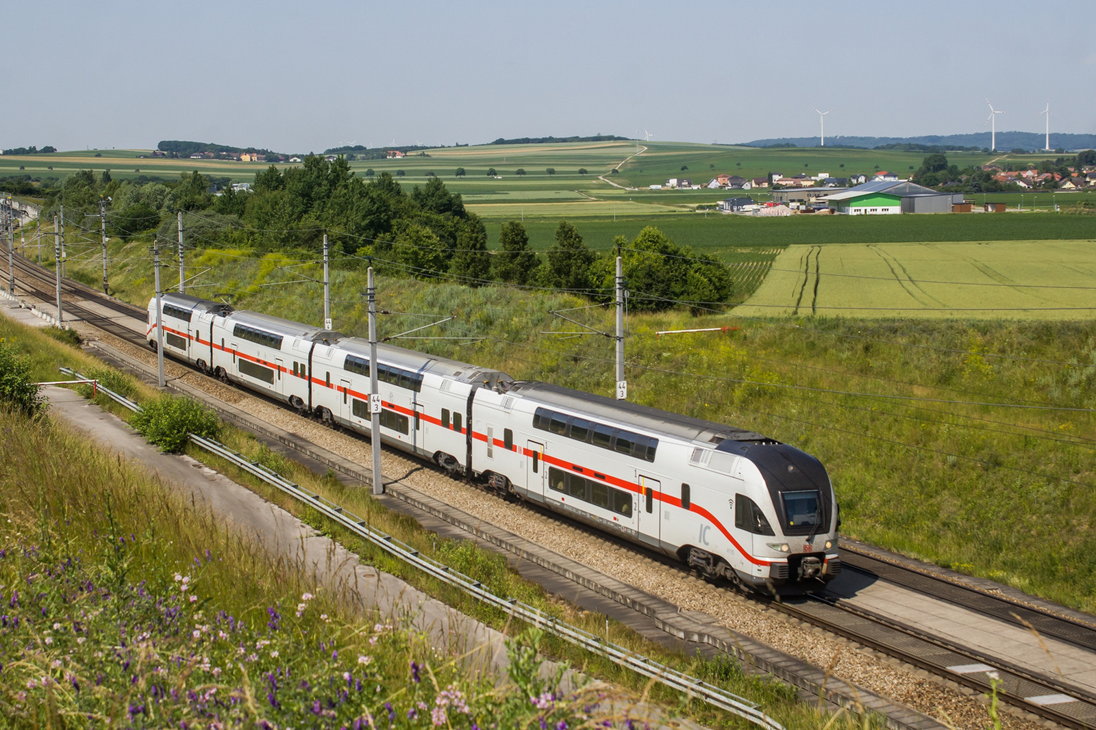 4010 xxx Perschling (2023.06.18).03