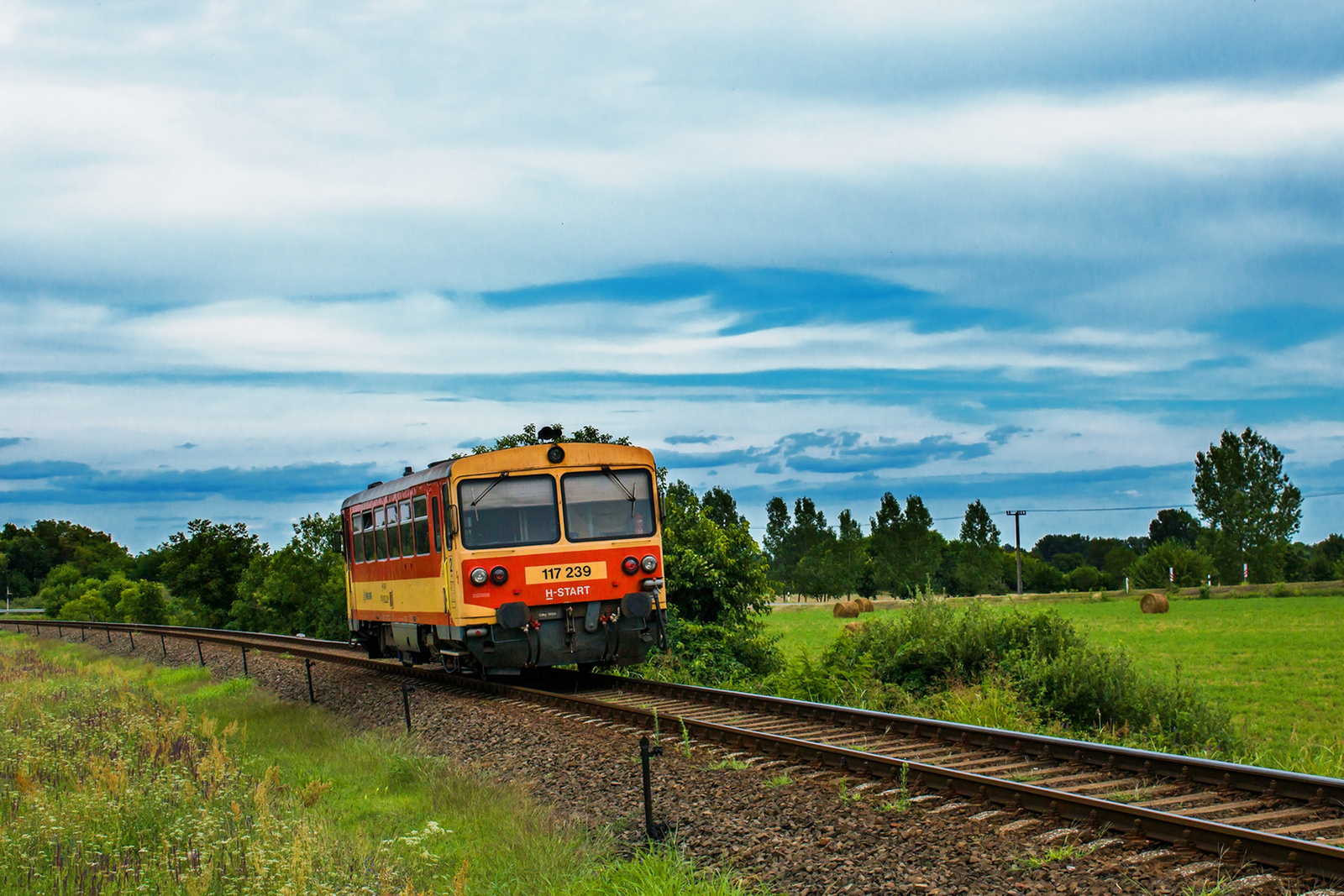 117 239 Alsónyék (2023.08.09)