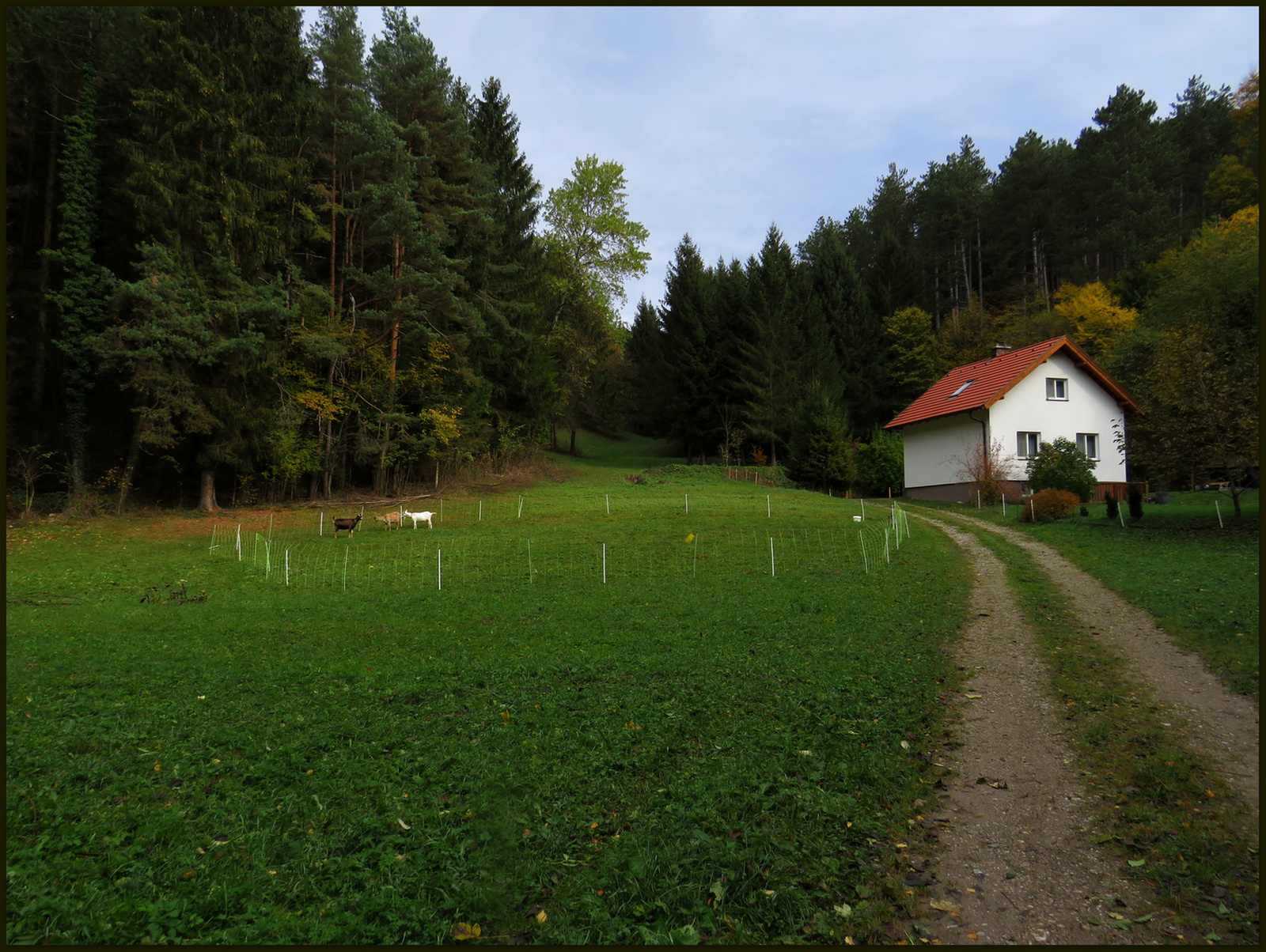 Ausztria - Johannesbachklamm