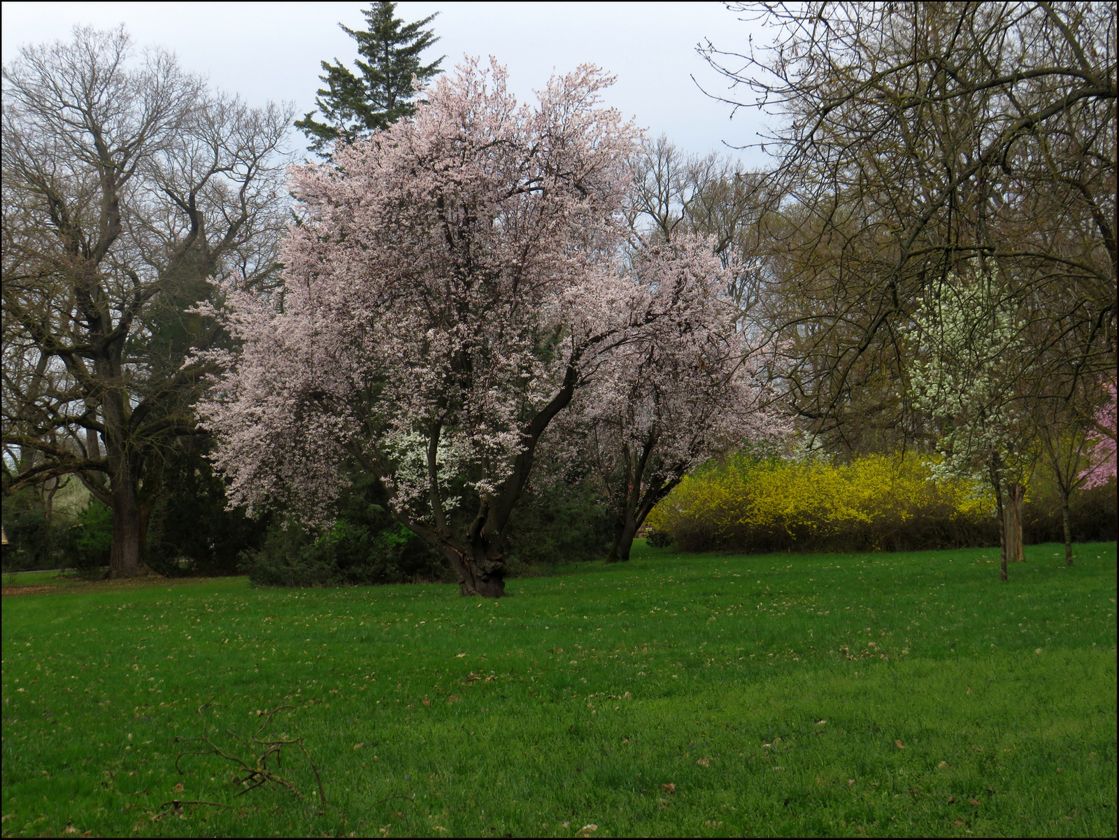 A Szarvasi arborétumban