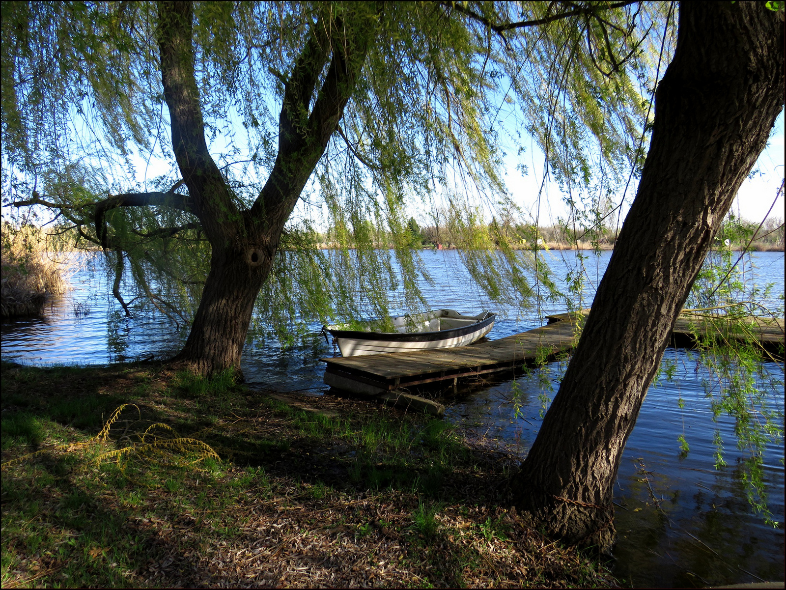 Tiszaugon a Holt-Tiszánál