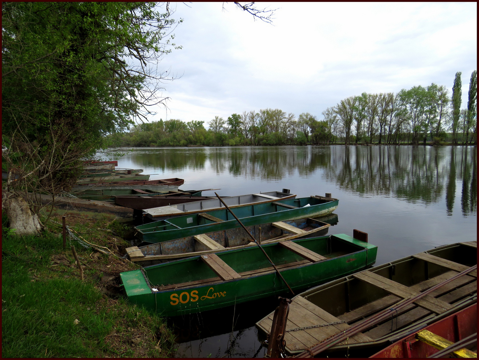 Tiszaalpár - Holt Tisza