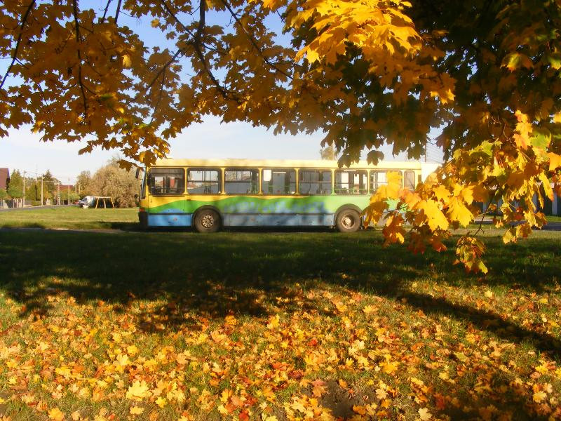 Siófok temetői járat (9)