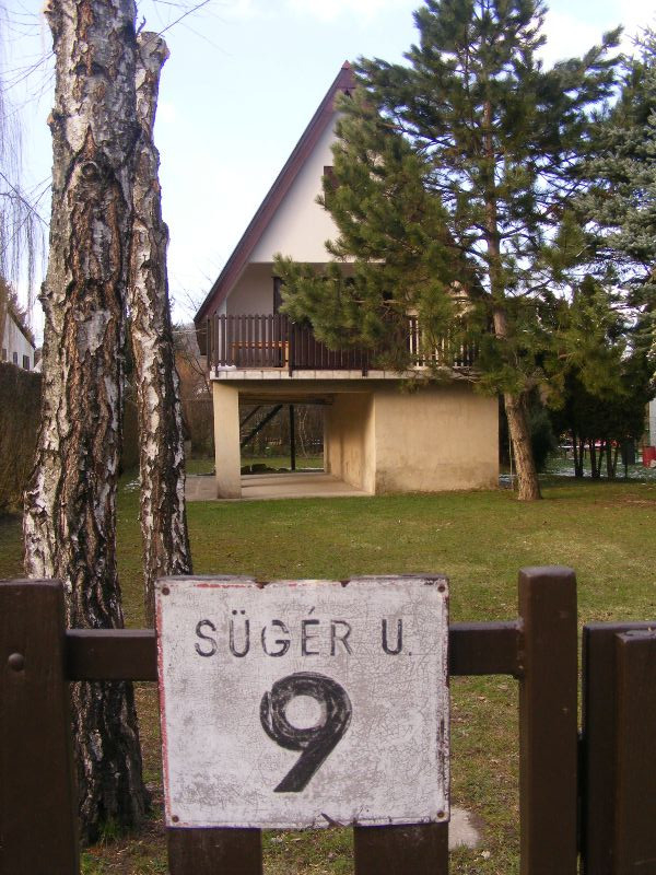 Sügér