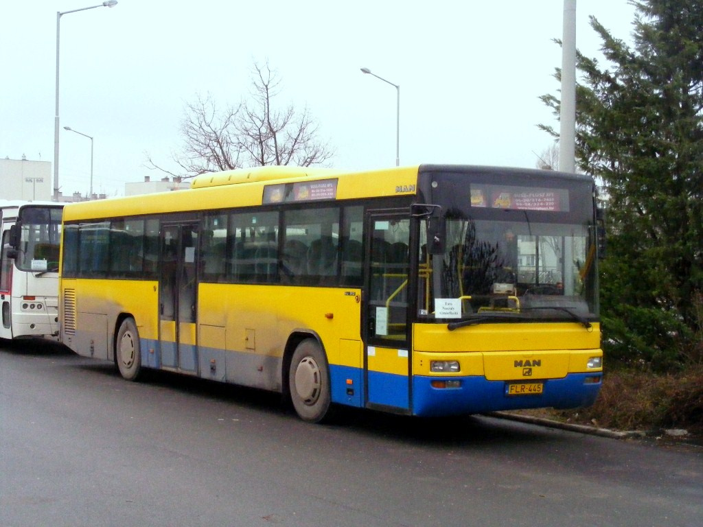 FLR-445, ex Hódmező, ma Busz Plusz