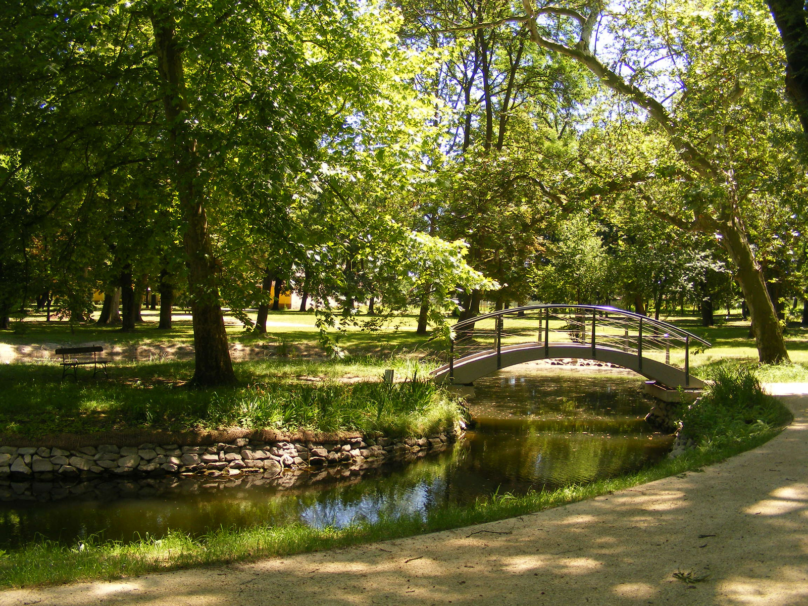 Tavacska a parkban