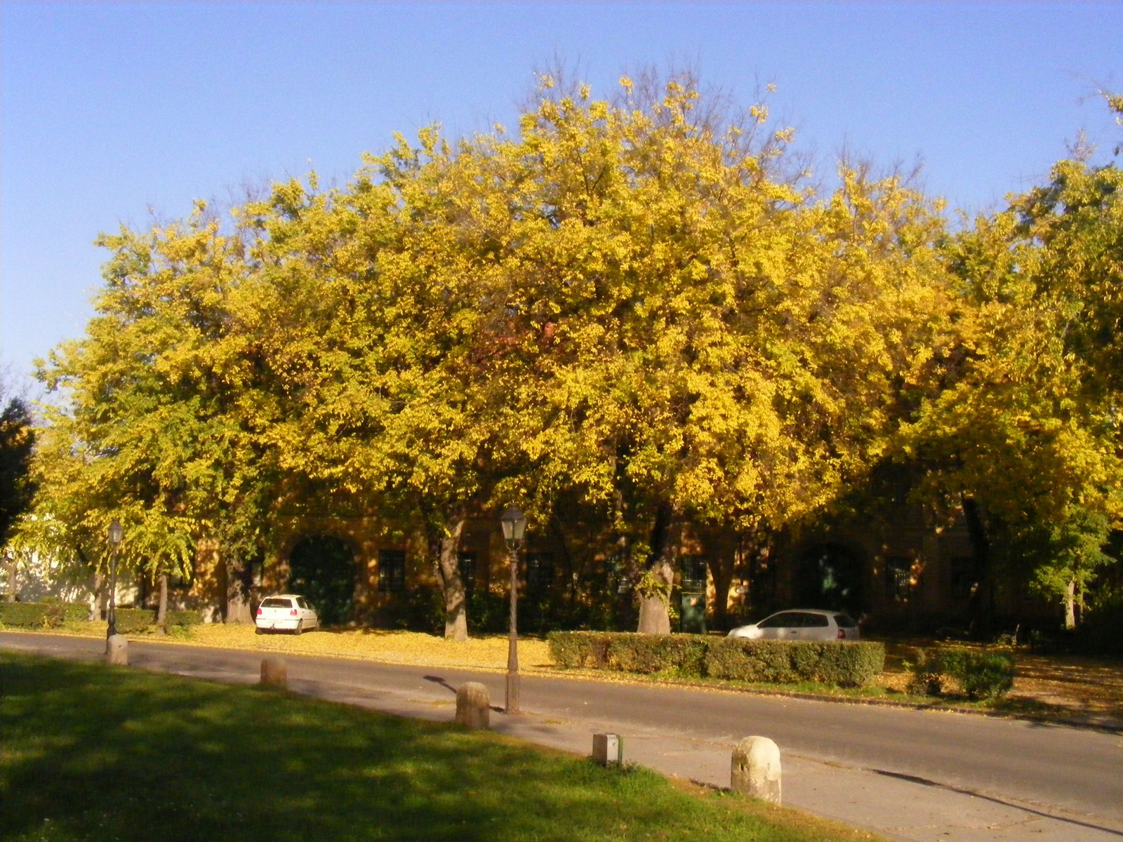 Vác, Konstantin tér