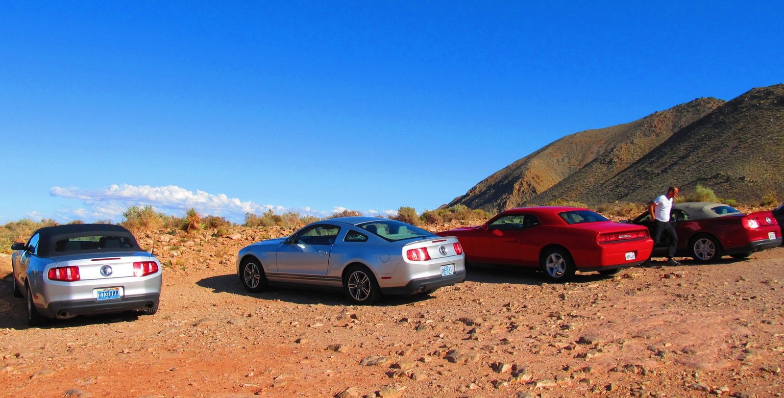 Mustang - Mustang - Challenger - Mustang