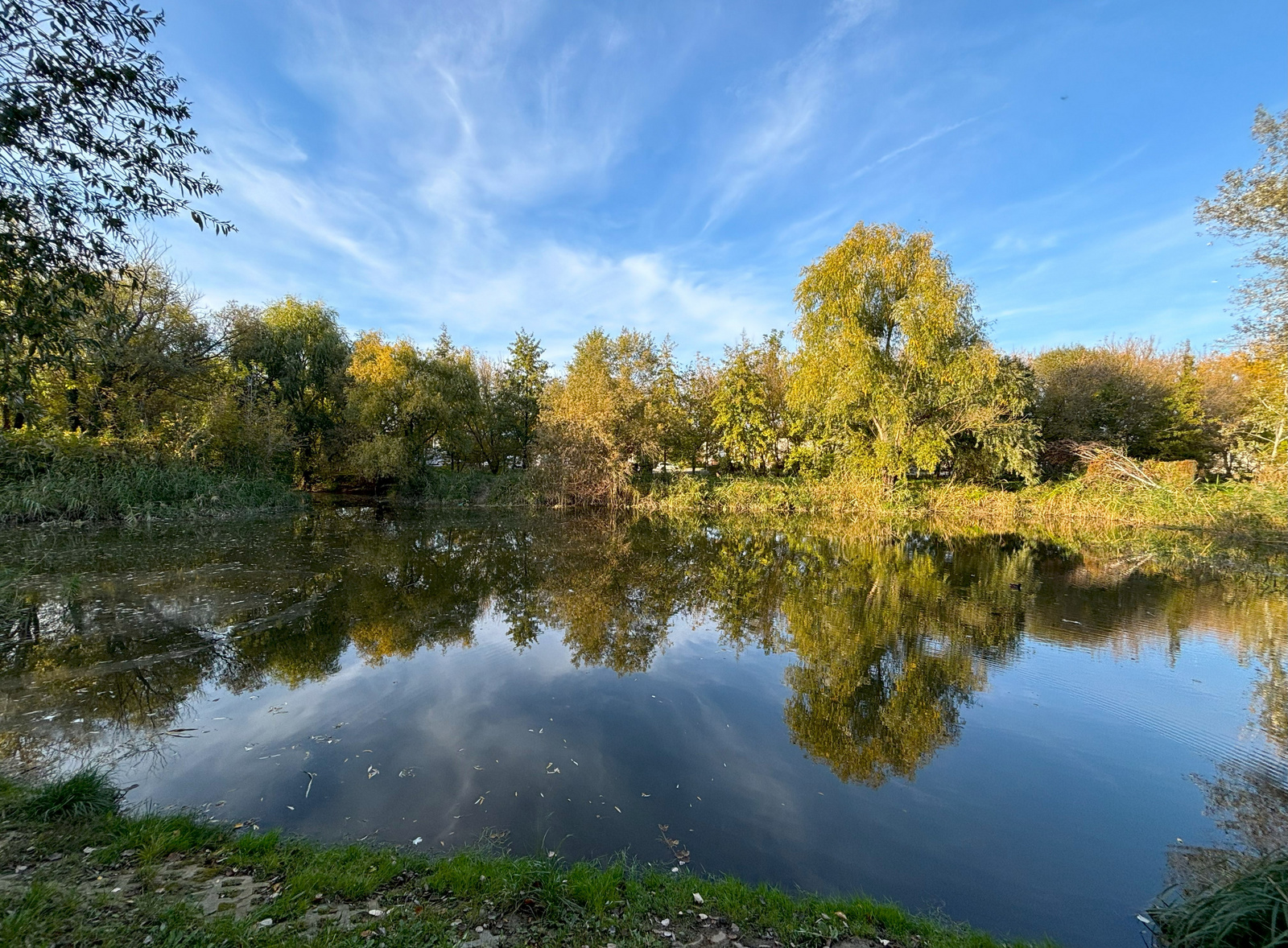 Kamaraerdő