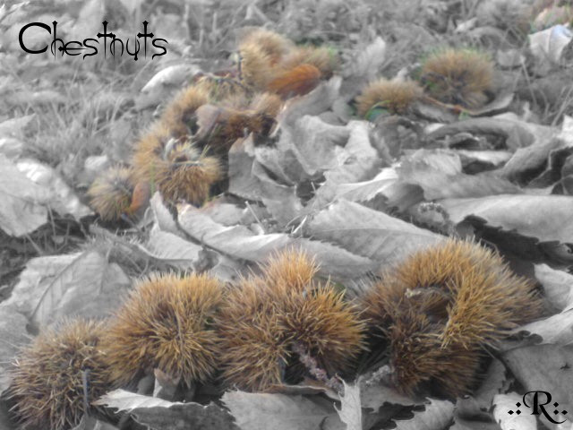 Chestnuts