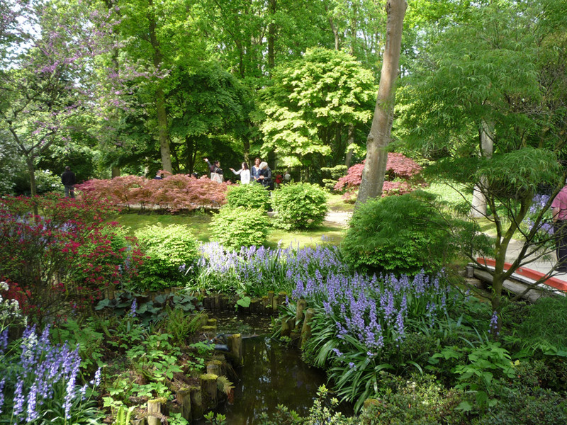 keukenhof 39