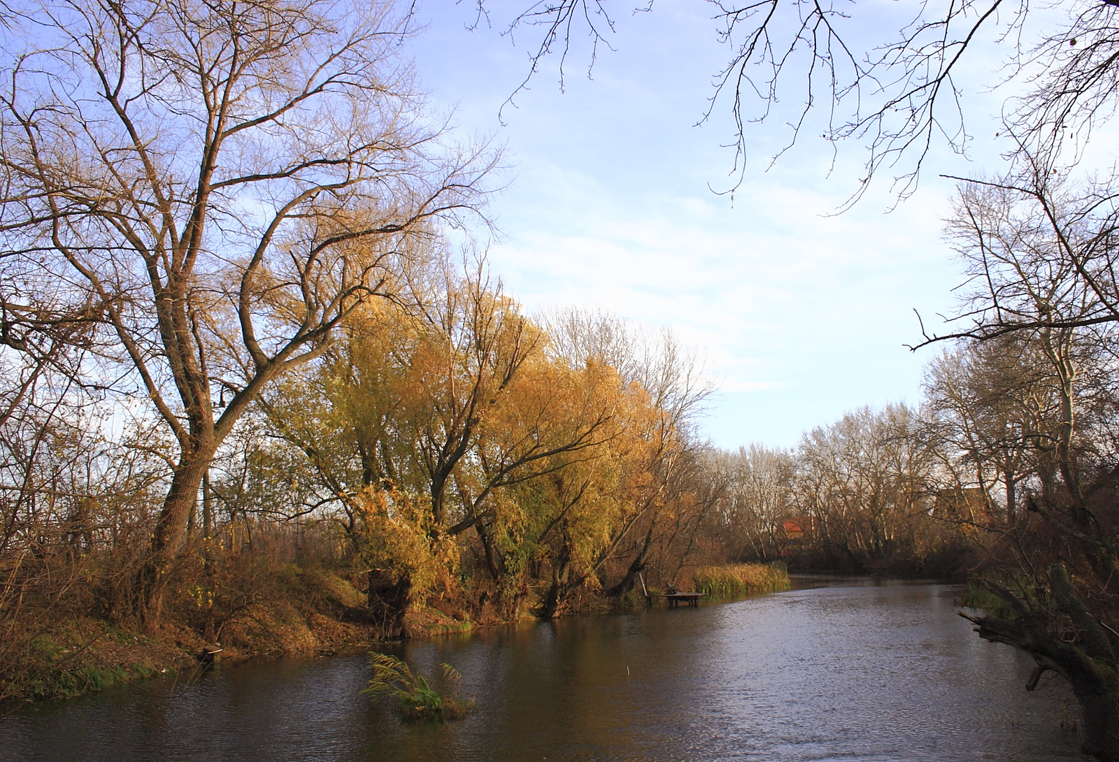 Ráckeve, holtág