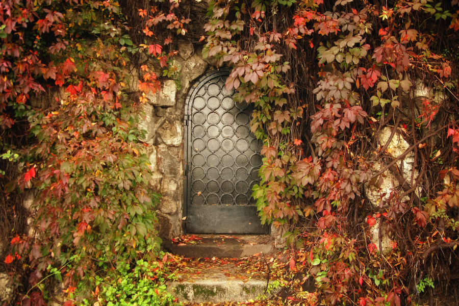 A titkos kert kapuja