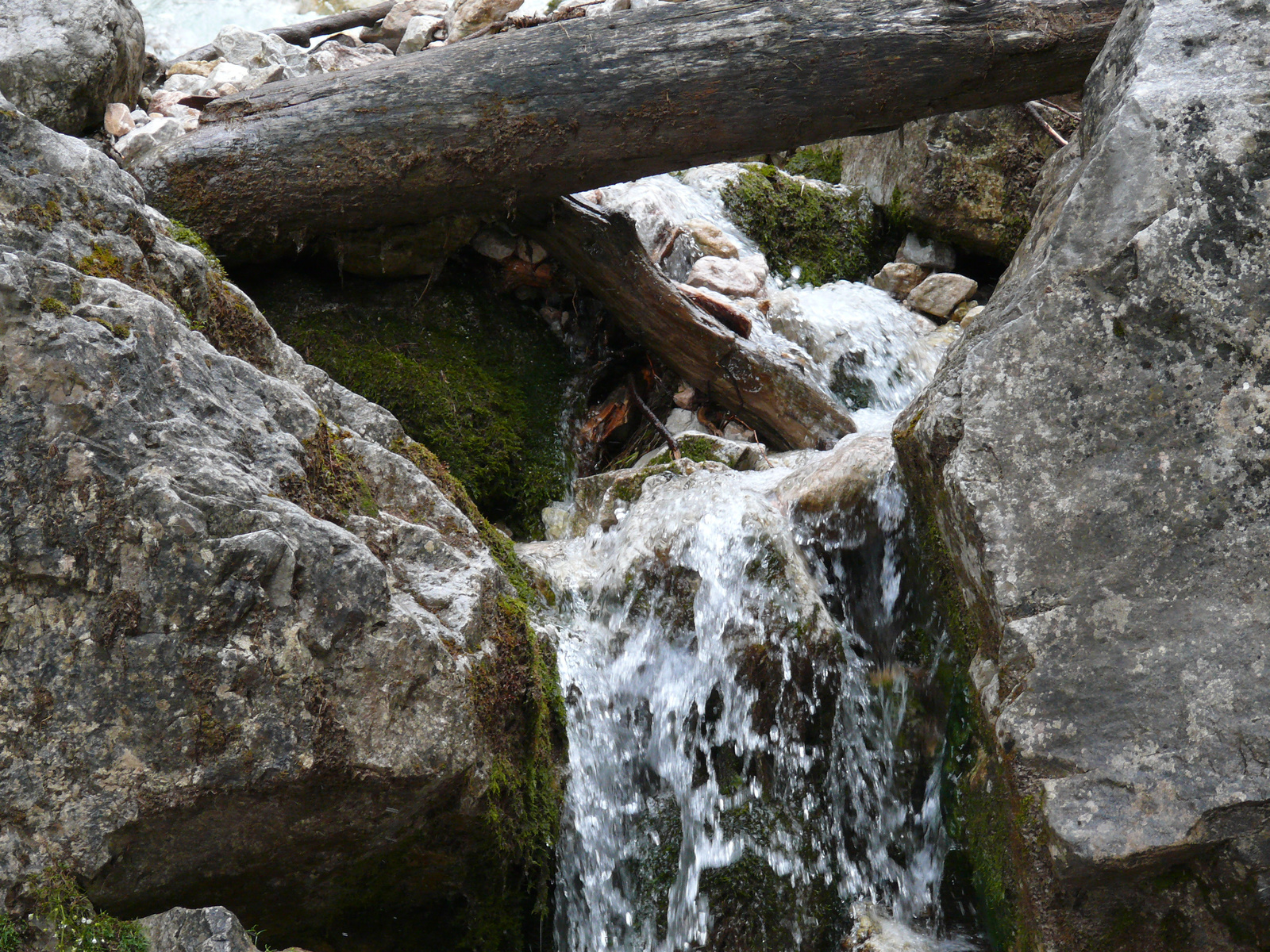 Silberkarklamm (54)