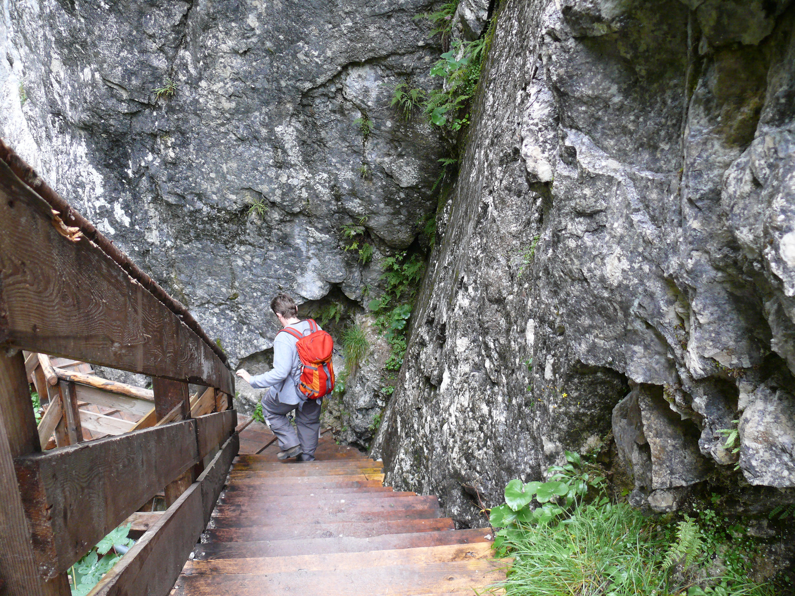 Wörschach-klamm (82)