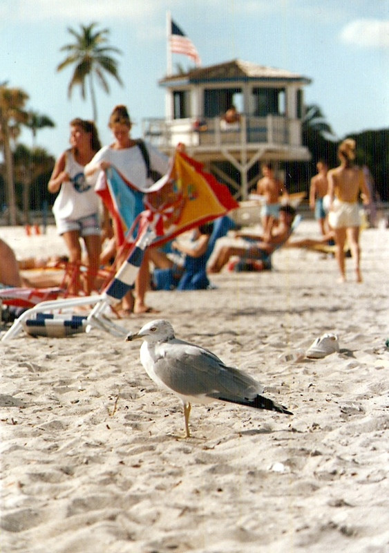 Miami1988mitkeresekitt