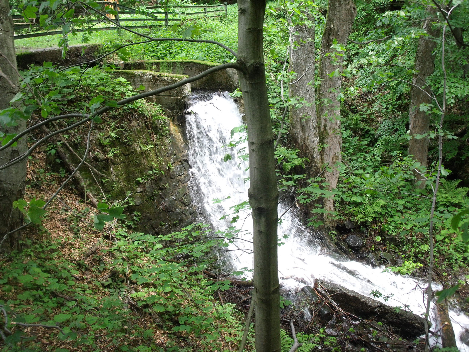 Vihorlát, 2010.05.28-30. 074