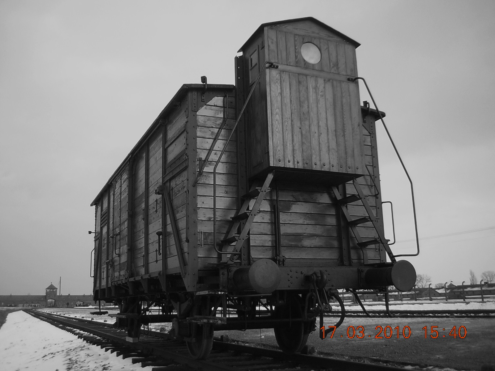 Birkenau (81)