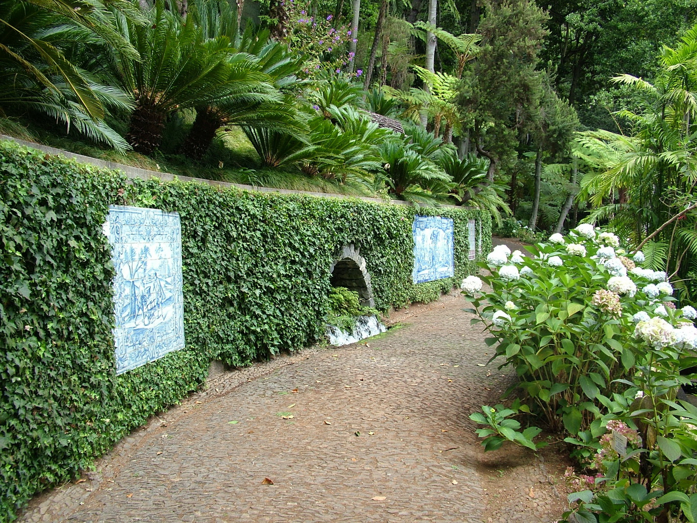 Madeira2013 049