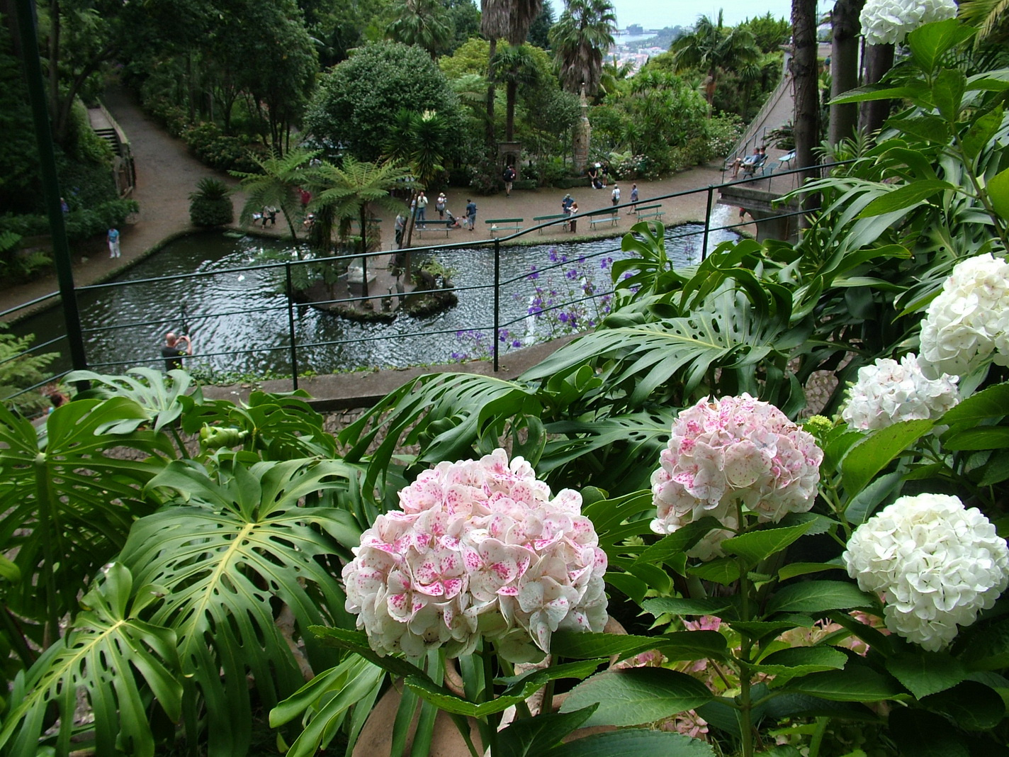 Madeira2013 050