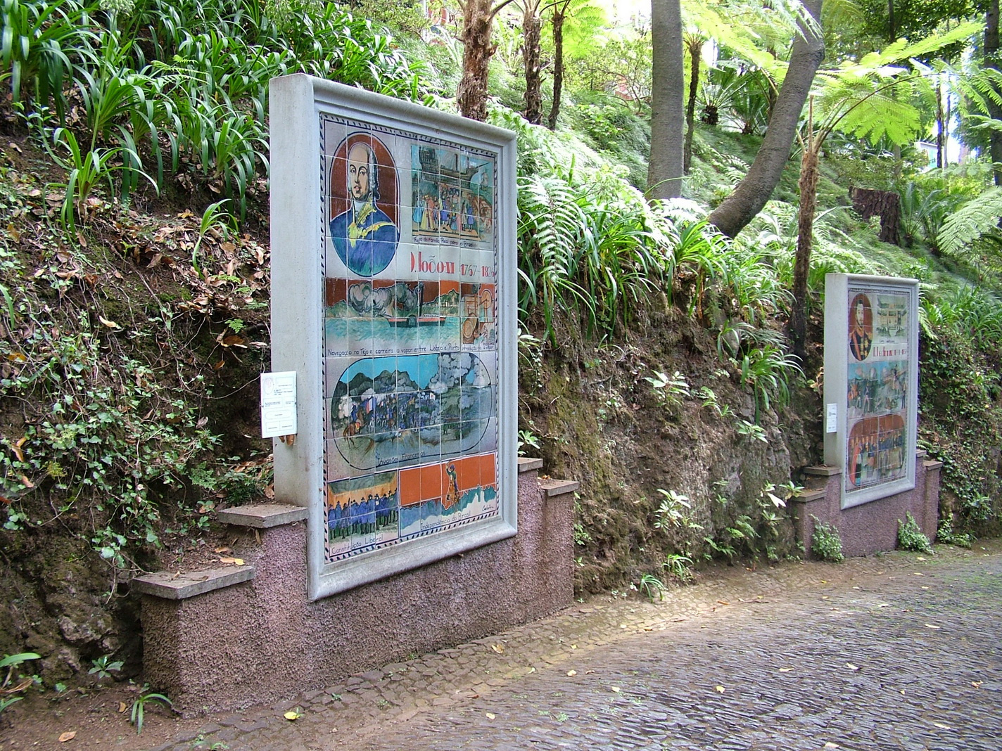 Madeira2013 051