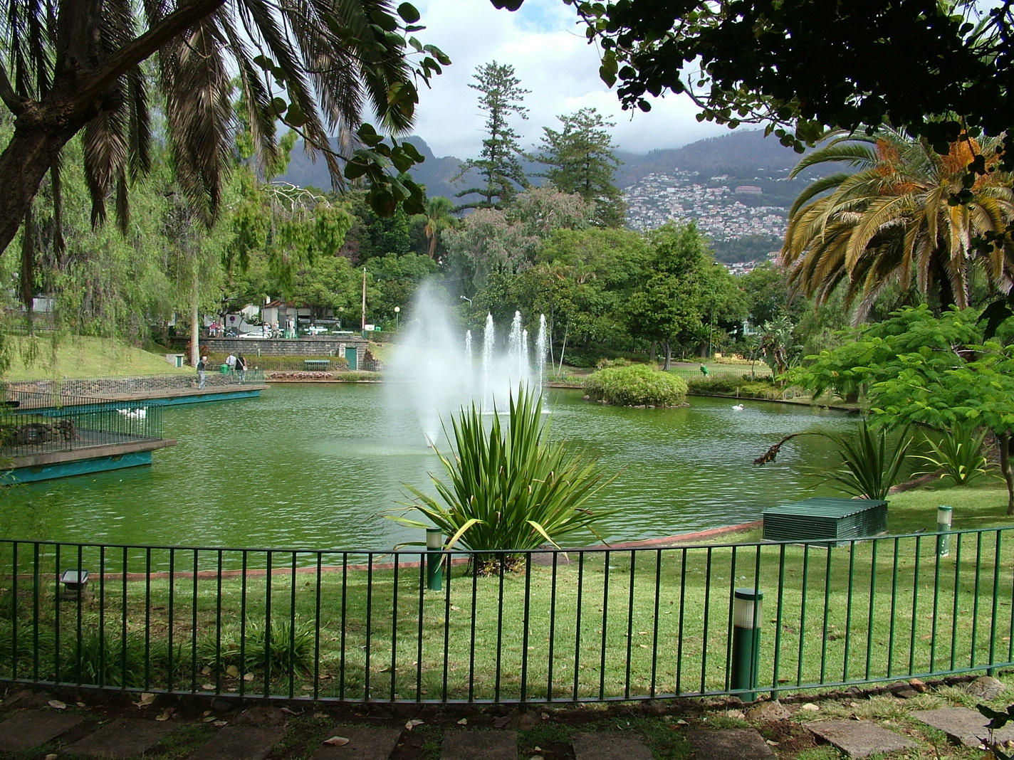 Madeira2013 078