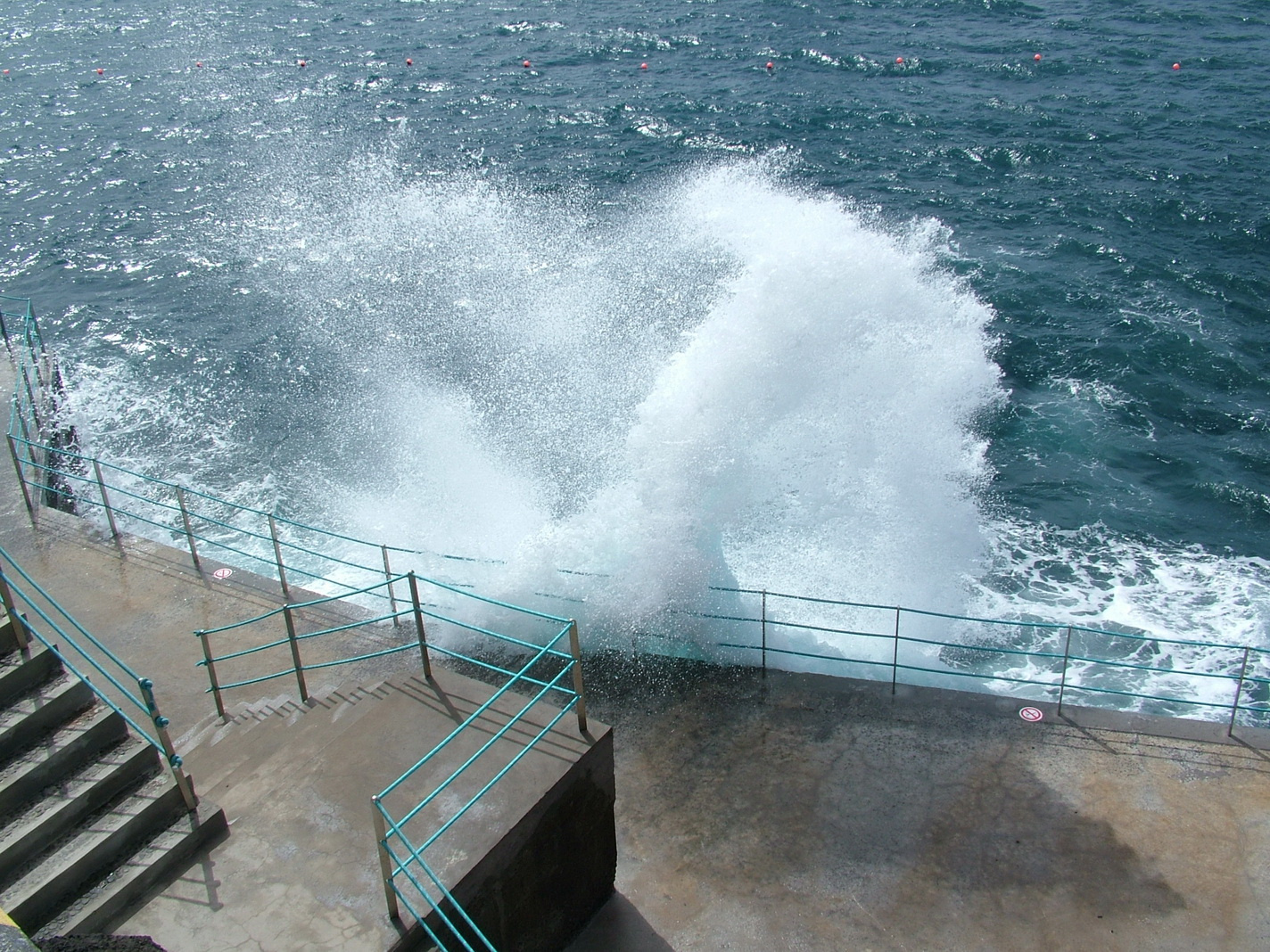 Madeira2013 085