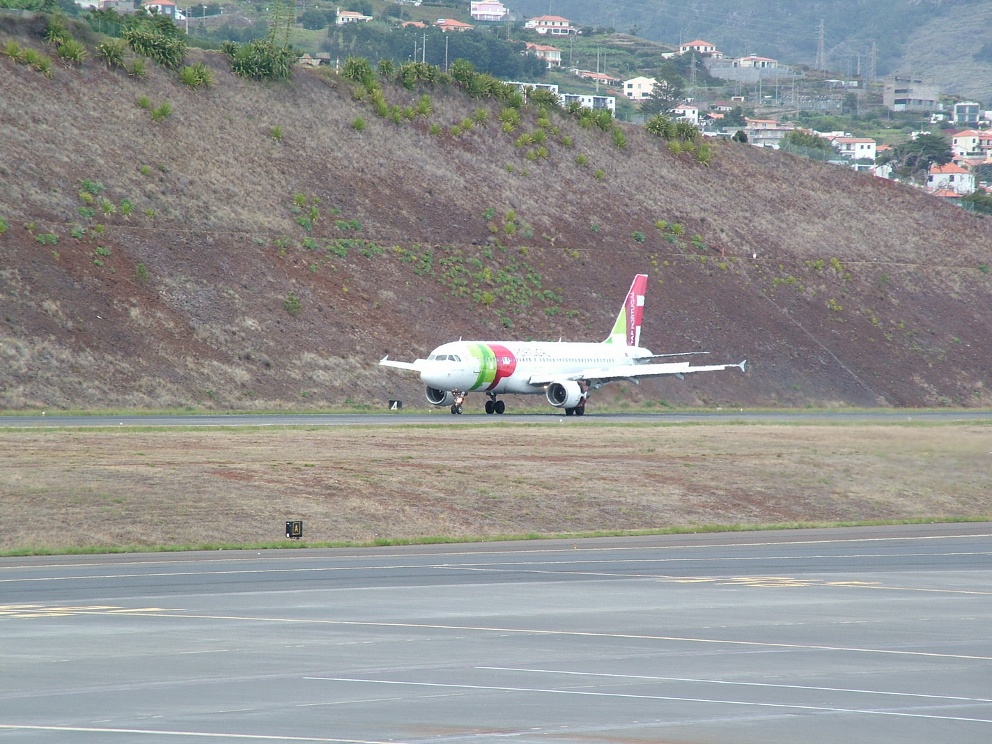 Madeira2013 118