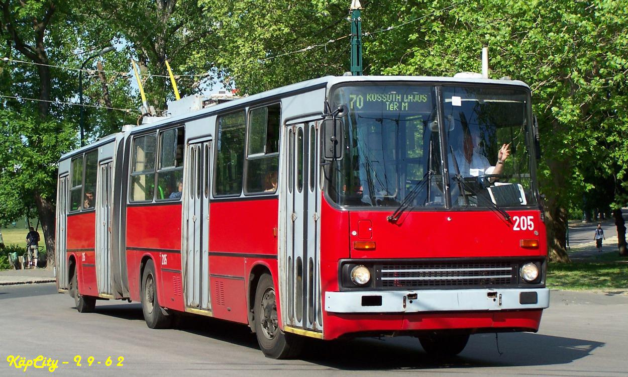 205 - 70 (Dvorzsák sétány)