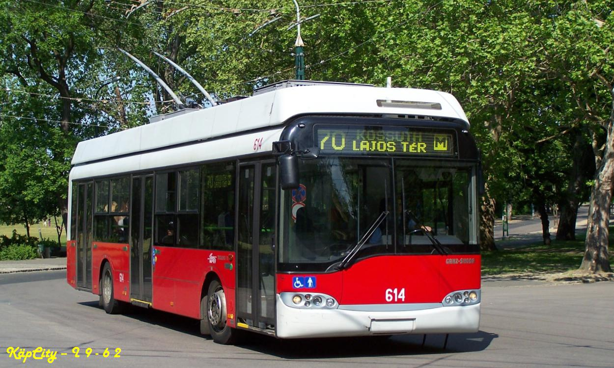 614 - 70 (Dvorzsák sétány)