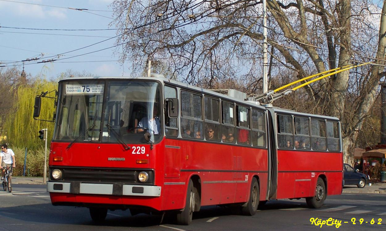 229 - 75 (Állatkerti út)