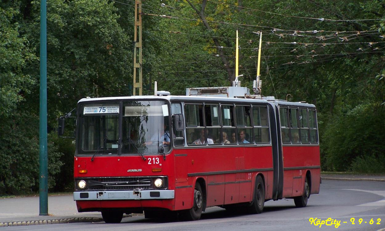 213 - 75 (Dvorzsák sétány)