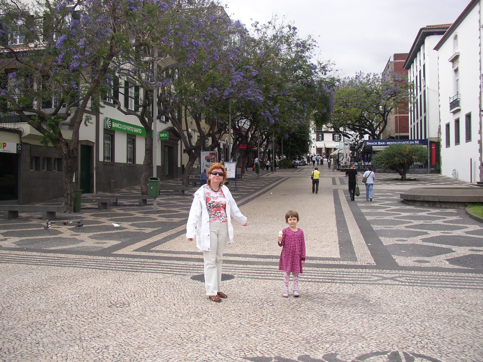 madeira2007 028