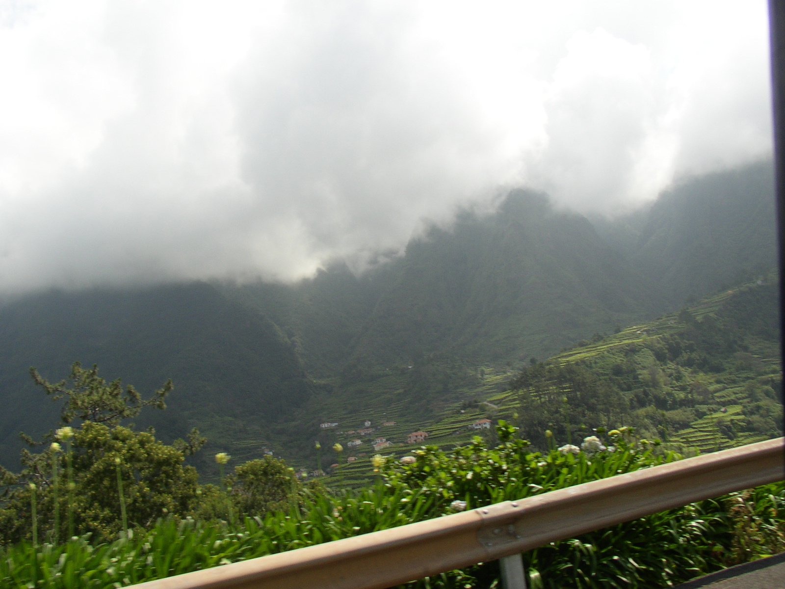 madeira2007 110