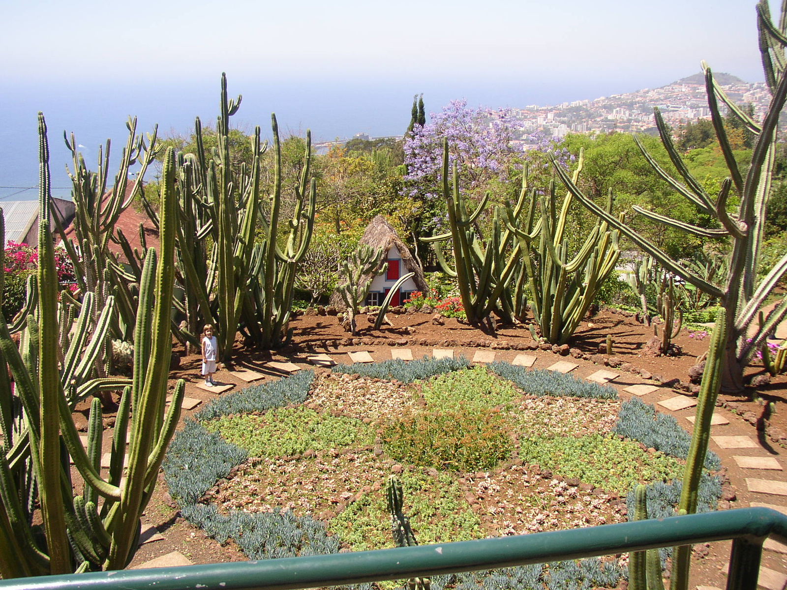 madeira2007 174