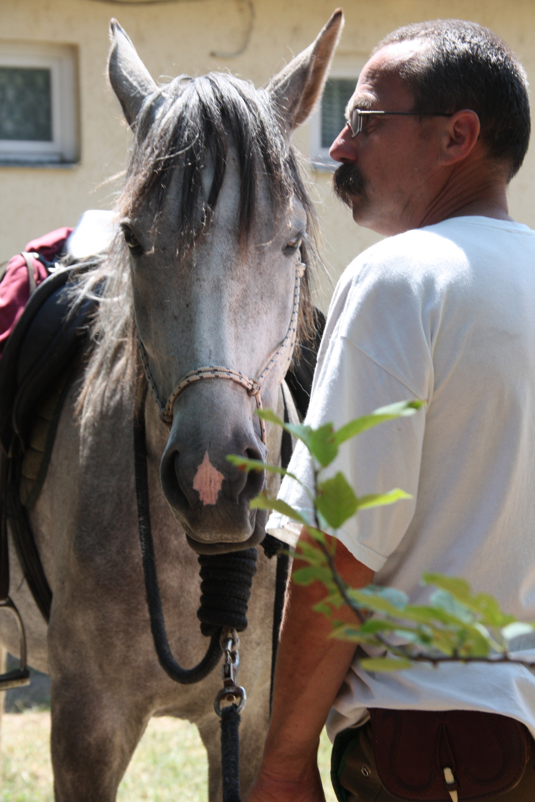 Báránd 2012