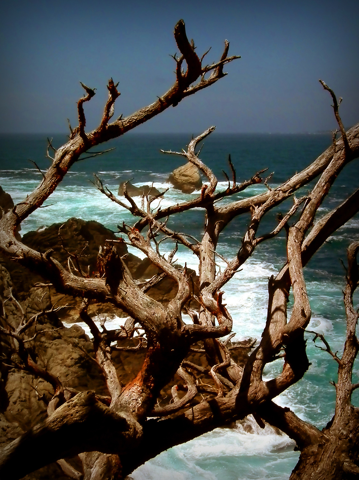 Point Lobos, CA