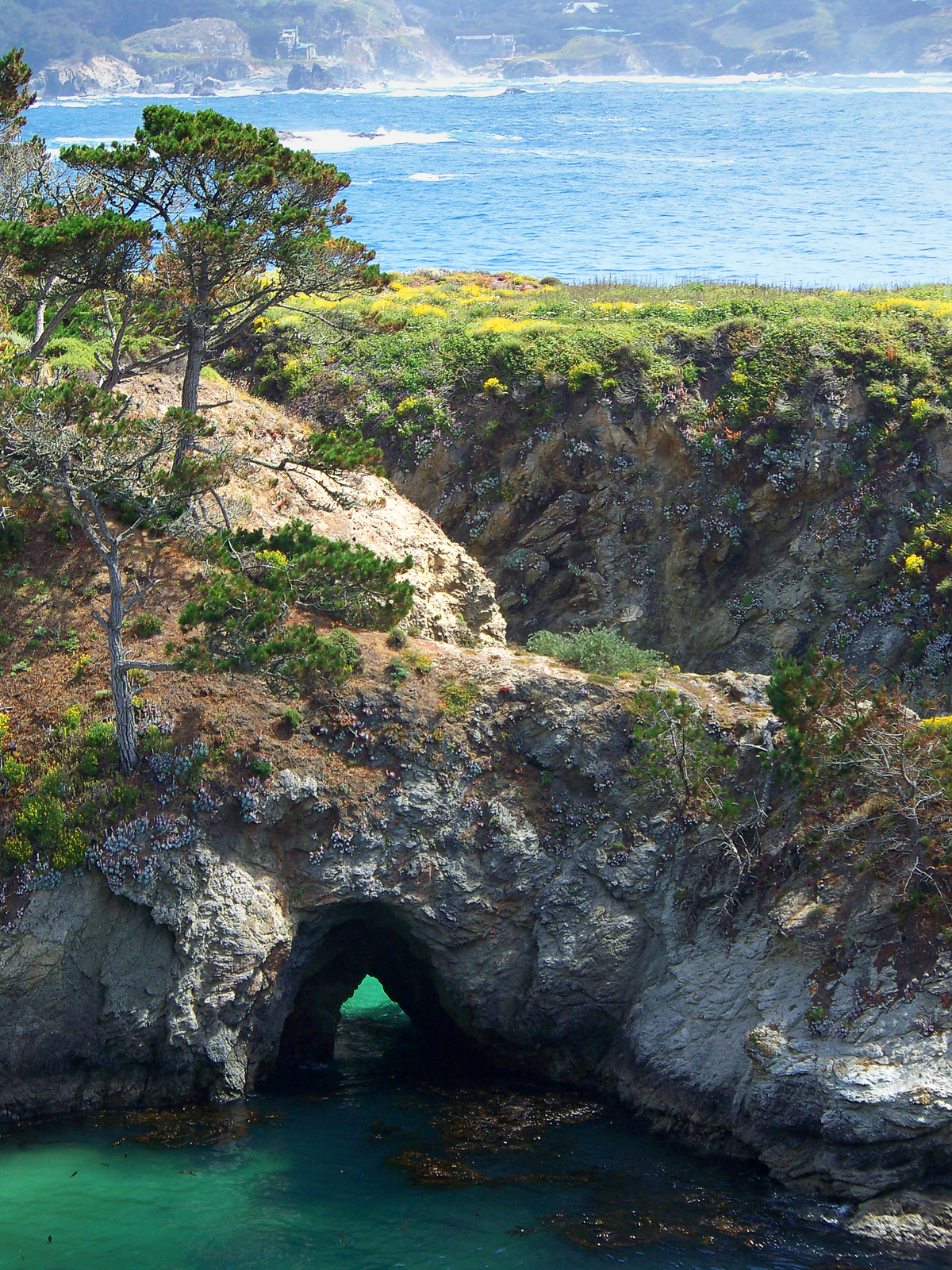 Hwy1, Point Lobos, CA