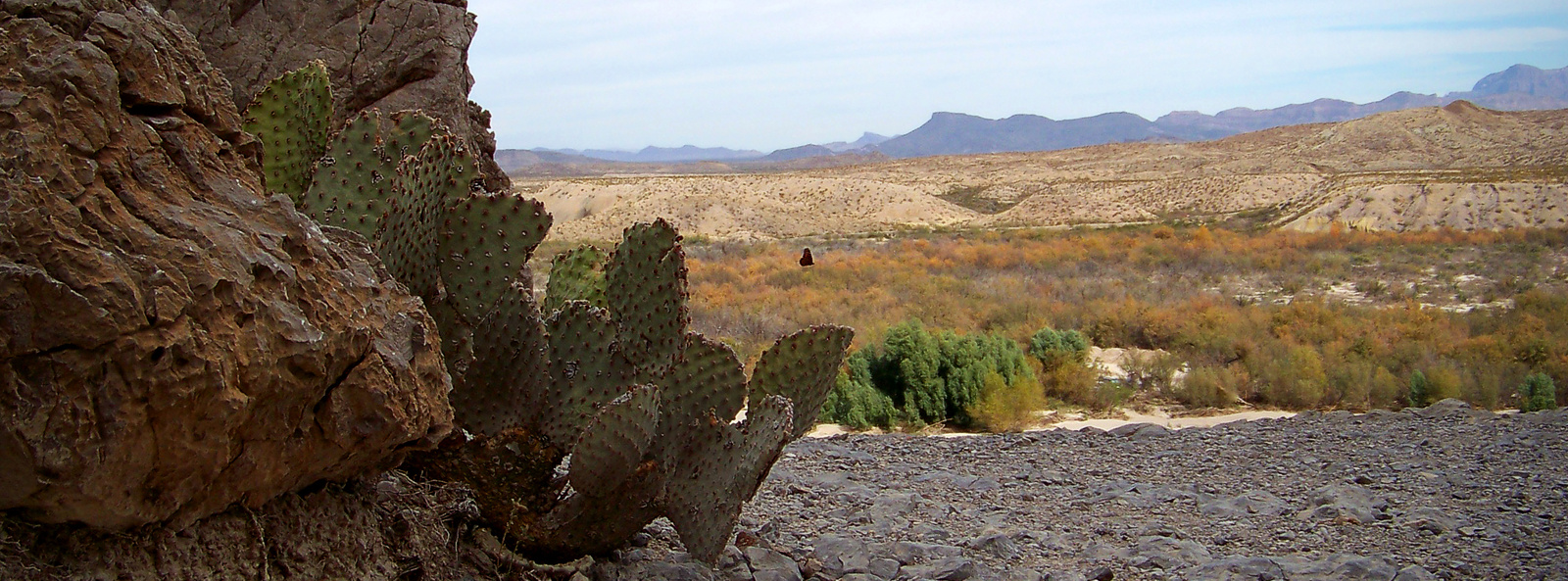 TexasTimeline